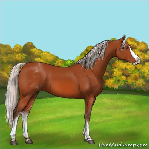 Horse Color:White Spotted Silver Bay Splash