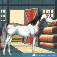 Horse Color:Brown Roan Splash Frame 