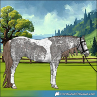 Horse Color:Liver Chestnut Ice Sabino Tobiano 