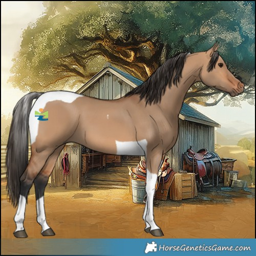 Horse Color:Bay Dun Tobiano 