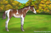 Horse Color:Chocolate Bay Splash Tobiano
