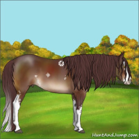 Horse Color:White Spotted Chocolate Bay Splash