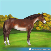 Horse Color:Chocolate Brown 