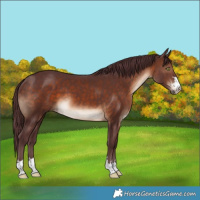 Horse Color:Chocolate Brown 