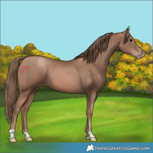 Horse Color:Black Pearl