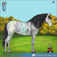 Horse Color:Black Ice 