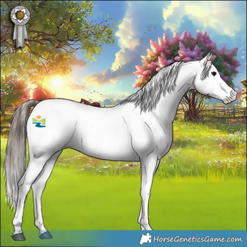 Horse Color:Bay Roan Appaloosa Rabicano 
