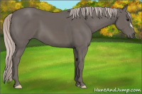 Horse Color:Silver Black