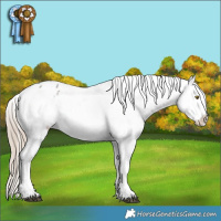 Horse Color:Liver Red Roan Blanket 