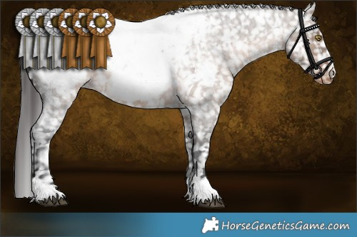 Horse Color:Brown Roan Dun Appaloosa 