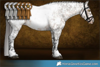 Horse Color:Brown Roan Dun Snowcap