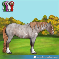 Horse Color:Liver Red Roan Sabino Rabicano 
