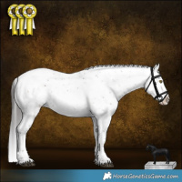 Horse Color:Brown Sabino Blanket 
