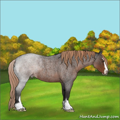 Horse Color:Liver Red Roan Sabino 