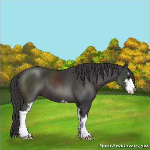 Horse Color:Smoky Black Sabino 