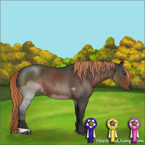 Horse Color:Liver Red Roan 
