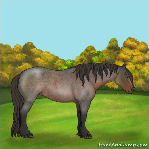 Horse Color:Liver Red Roan Sabino 