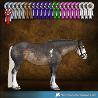 Horse Color:Silver Smoky Black Sabino