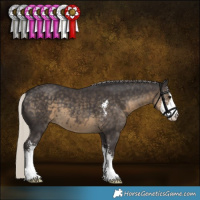 Horse Color:Silver Smoky Black Sabino 