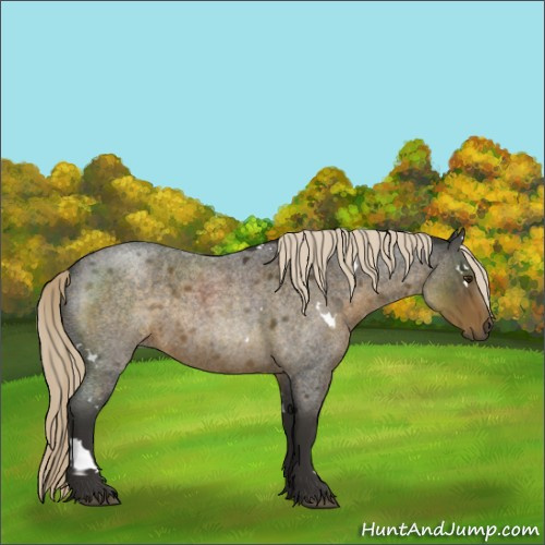 Horse Color:White Spotted Chocolate Palomino Roan 
