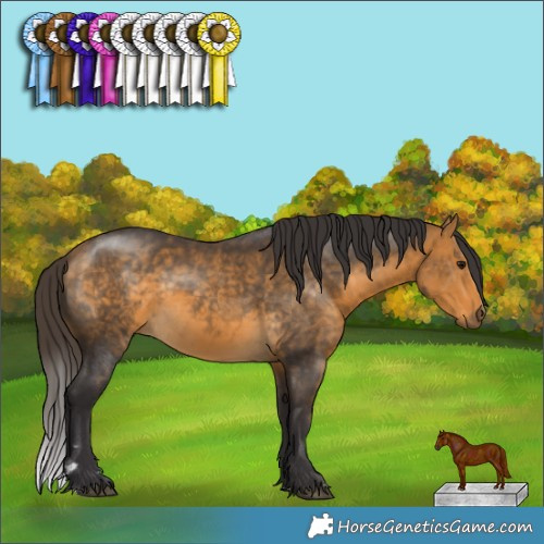 Horse Color:Buckskin 