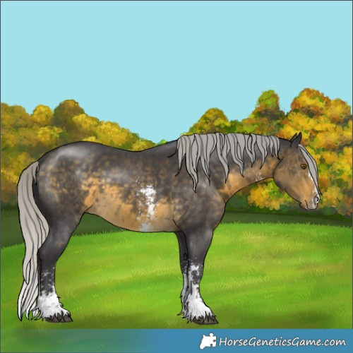 Horse Color:Silver Buckskin Sabino 