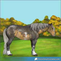Horse Color:Silver Buckskin Sabino