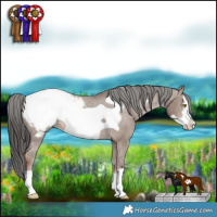Horse Color:Liver Red Dun Frame Varnish 