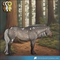 Horse Color:White Spotted Silver Brown Dun