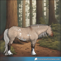 Horse Color:White Spotted Silver Brown Dun Tobiano Rabicano