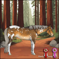 Horse Color:White Spotted Silver Buckskin Tobiano 