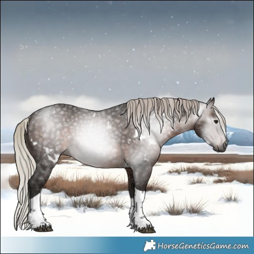 Horse Color:Gray White Spotted Silver Brown Tobiano 