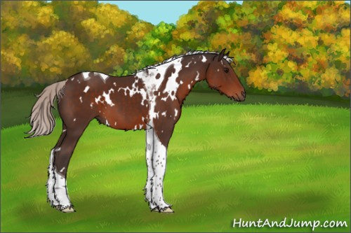 Horse Color:White Spotted Silver Brown Tobiano 