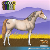 Horse Color:Red Roan Pearl Tobiano Frame 