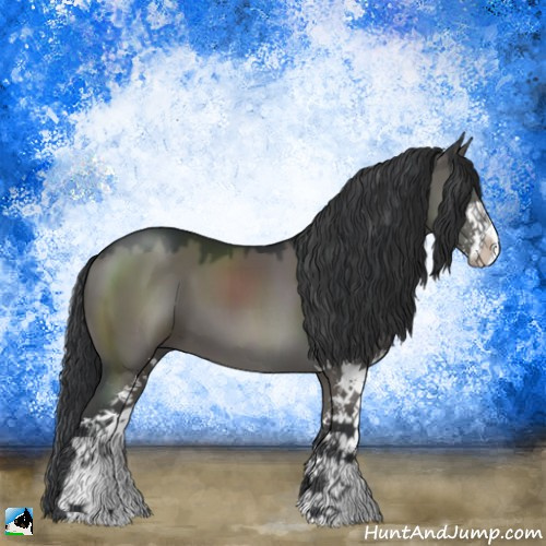 Horse Color:Grullo Sabino 
