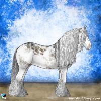 Horse Color:Brown Dun Mushroom Sabino Rabicano 