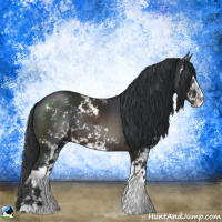 Horse Color:Brown Mushroom Sabino Rabicano 
