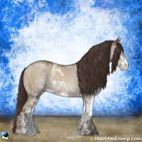 Horse Color:Classic Champagne Dun Mushroom Sabino Rabicano 