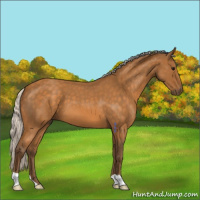 Horse Color:Silver Buckskin Roan