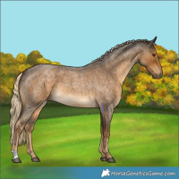 Horse Color:Chocolate Palomino Roan