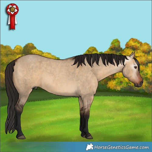 Horse Color:Gray Bay Roan Dun 