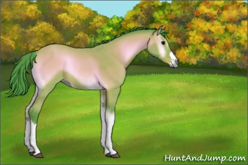 Horse Color:Watercolor Bay Onyx Rabicano 