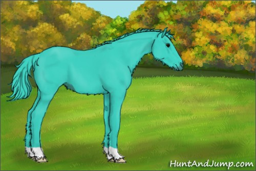 Horse Color:Watercolor Black 