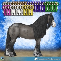 Horse Color:Grullo Mushroom Sabino Brindle 