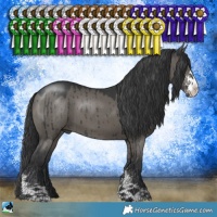 Horse Color:Grullo Mushroom Sabino Brindle 