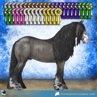 Horse Color:Grullo Mushroom Sabino Brindle