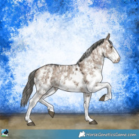 Horse Color:Liver Red Dun Mushroom Sabino Rabicano Brindle