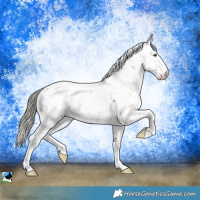 Horse Color:Liver Red Dun Mushroom Sabino Rabicano 