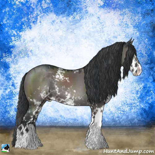 Horse Color:Grullo Mushroom Sabino Rabicano 
