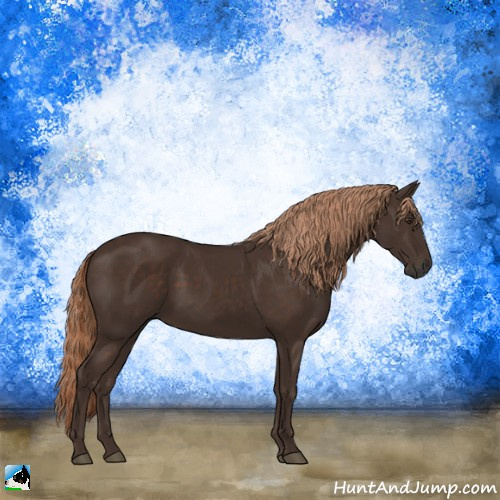 Horse Color:Liver Chestnut Sabino Rabicano
